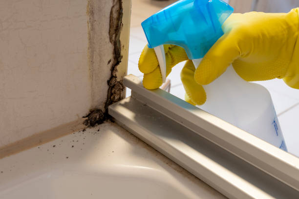 Best Mold Remediation for Healthcare Facilities  in Glasgow, MT